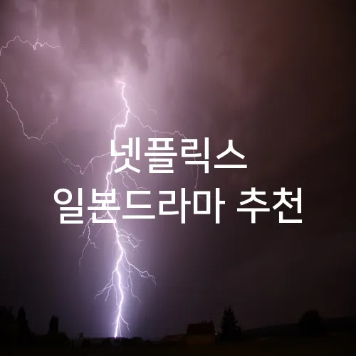 넷플릭스 일본드라마 추천