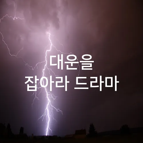 대운을 잡아라 드라마