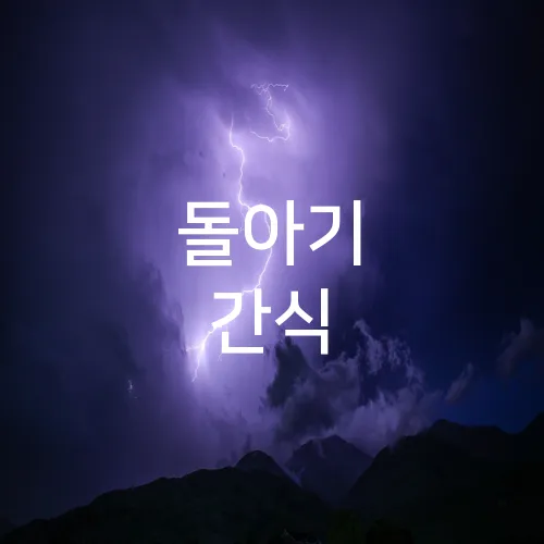돌아기 간식