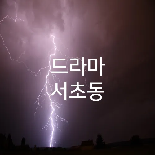 드라마 서초동