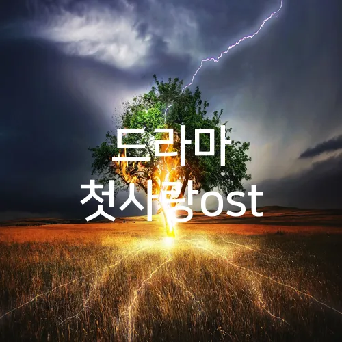 드라마 첫사랑ost