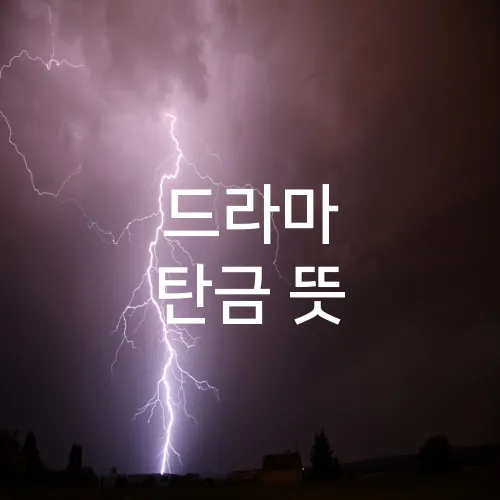 드라마 탄금 뜻