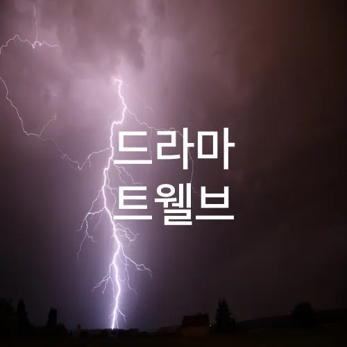 드라마 트웰브