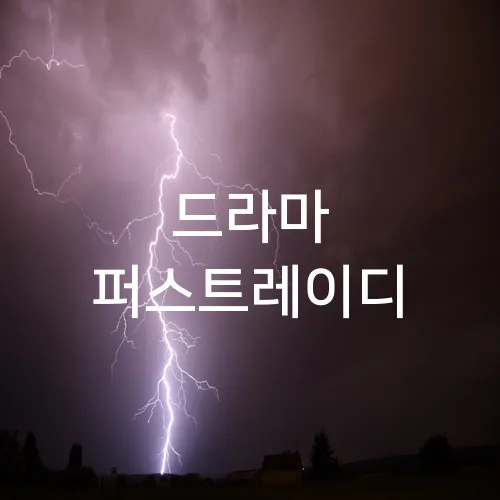 드라마 퍼스트레이디
