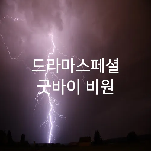 드라마스페셜 굿바이 비원