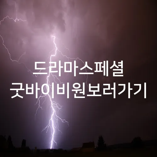 드라마스페셜 굿바이비원보러가기