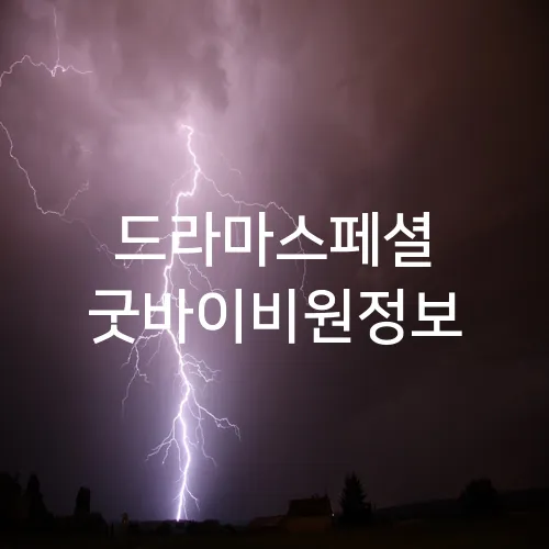 드라마스페셜 굿바이비원정보