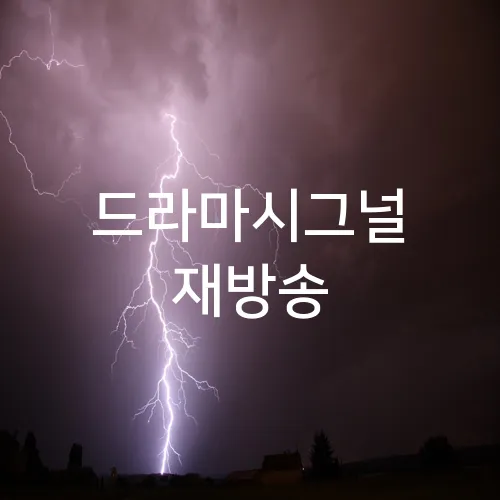 드라마시그널 재방송