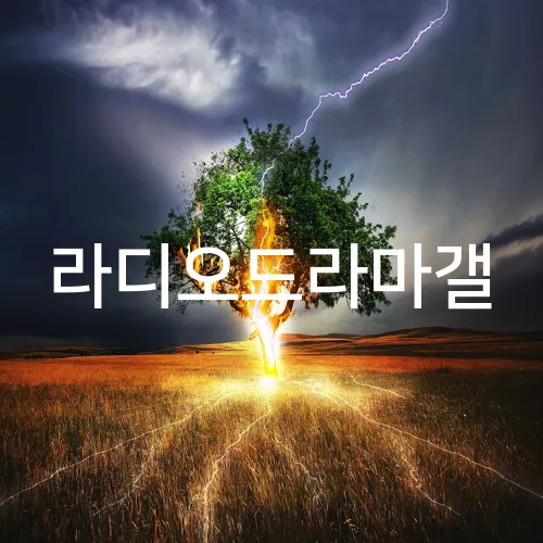 라디오드라마갤