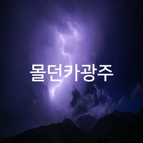 몰던카광주