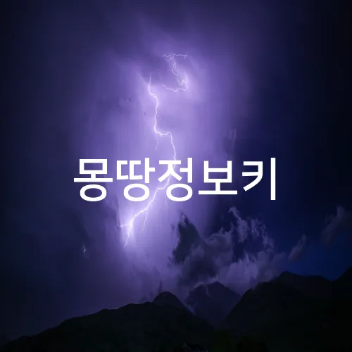몽땅정보키