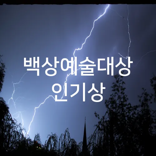백상예술대상 인기상