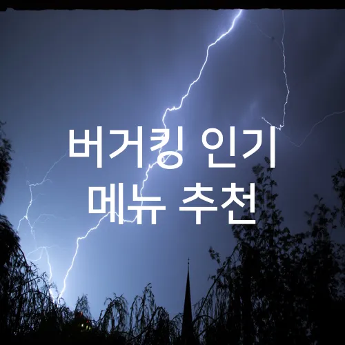 버거킹 인기 메뉴 추천