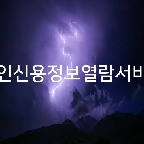 본인신용정보열람서비스