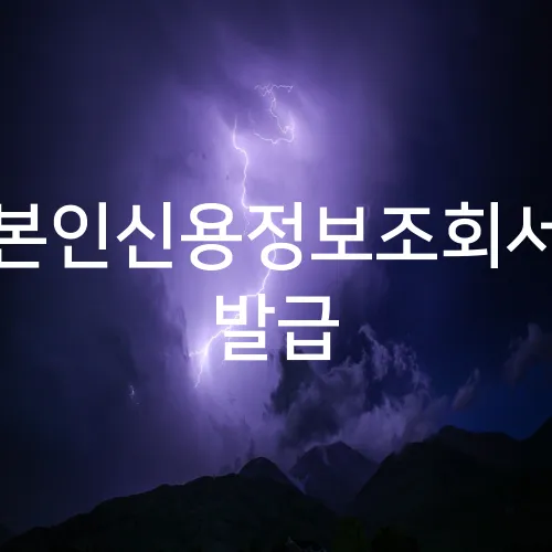 본인신용정보조회서 발급