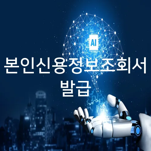 본인신용정보조회서 발급