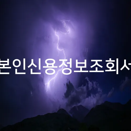 본인신용정보조회서