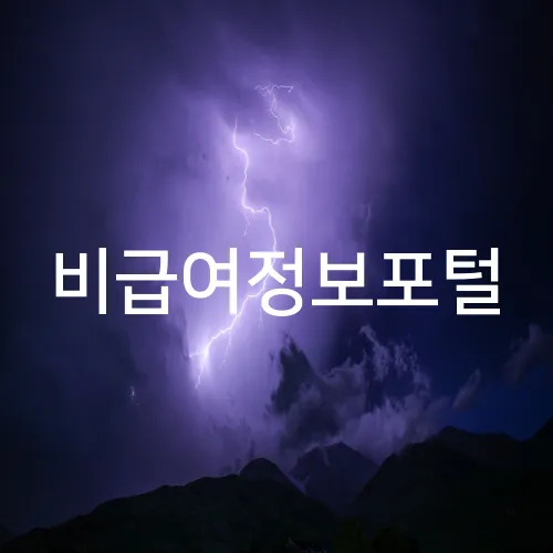 비급여정보포털