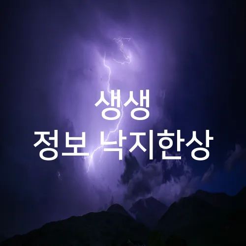 생생 정보 낙지한상
