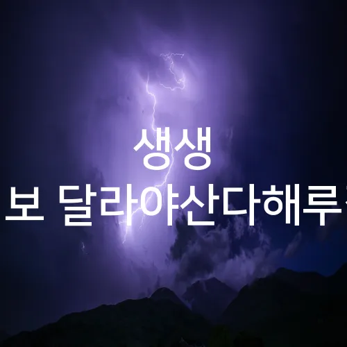 생생 정보 달라야산다해루질