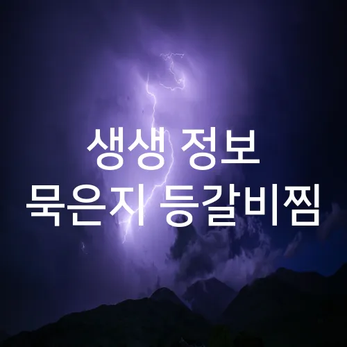 생생 정보 묵은지 등갈비찜
