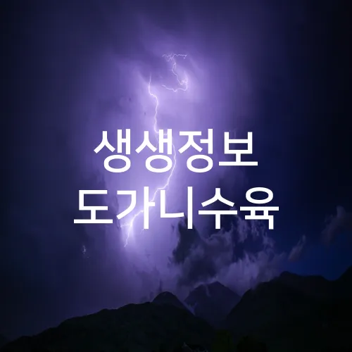 생생정보 도가니수육