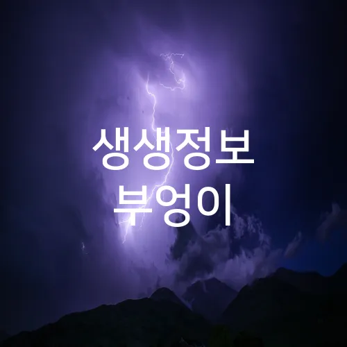 생생정보 부엉이