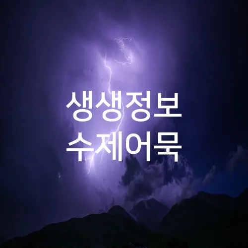 생생정보 수제어묵