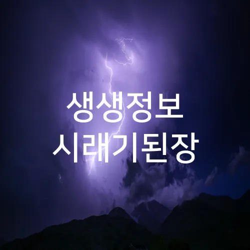 생생정보 시래기된장