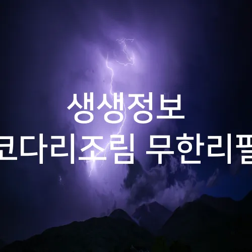 생생정보 코다리조림 무한리필