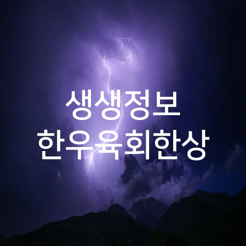 생생정보 한우육회한상