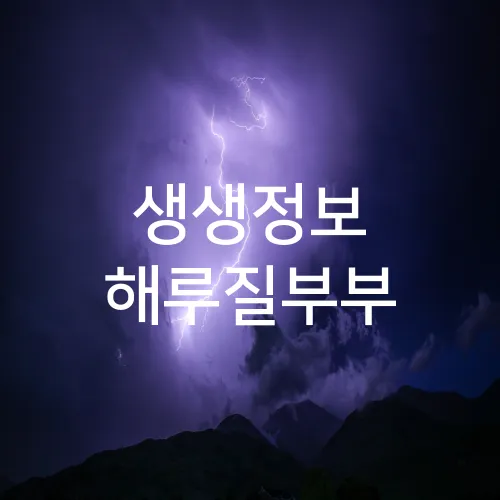 생생정보 해루질부부