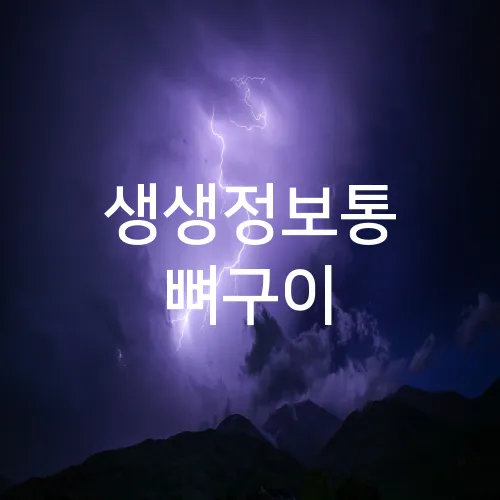 생생정보통 뼈구이