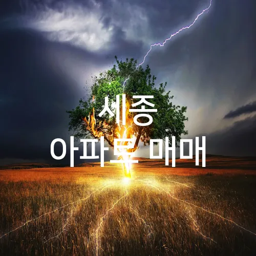 세종 아파트 매매