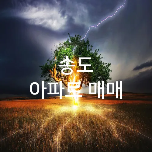 송도 아파트 매매