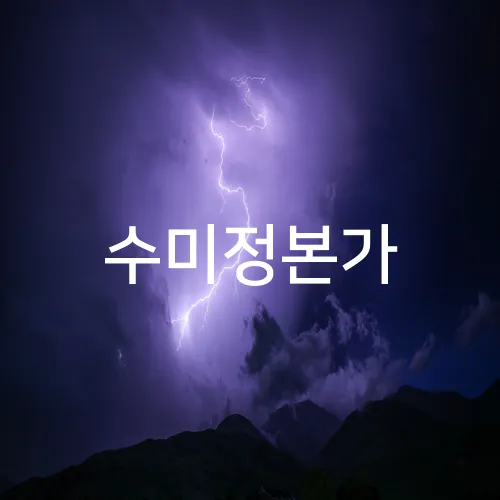 수미정본가