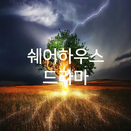 쉐어하우스 드라마