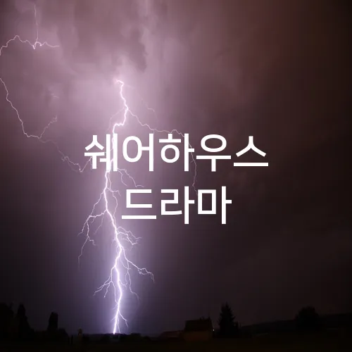 쉐어하우스 드라마