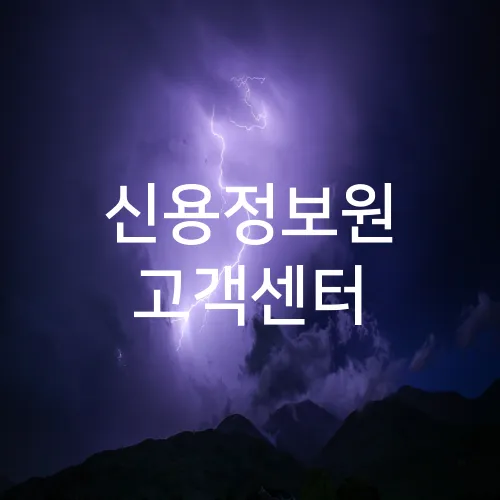 신용정보원 고객센터