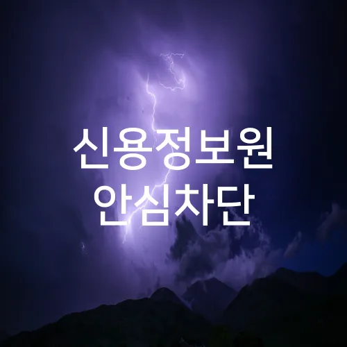 신용정보원 안심차단