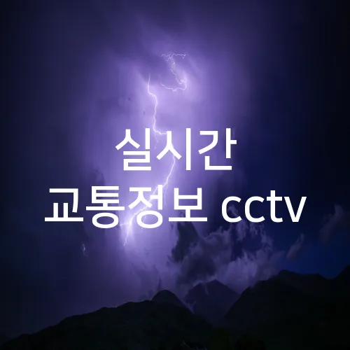 실시간 교통정보 cctv