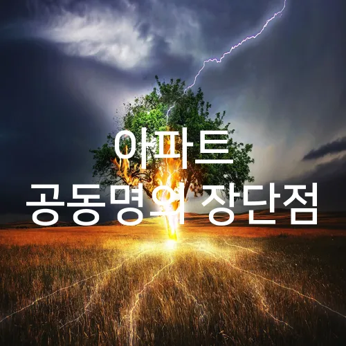 아파트 공동명의 장단점