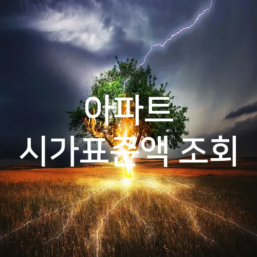 아파트 시가표준액 조회