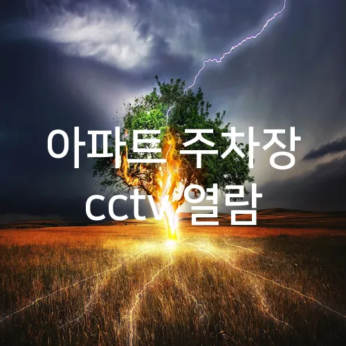 아파트 주차장 cctv 열람