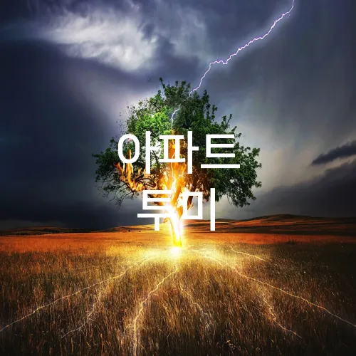 아파트 투미