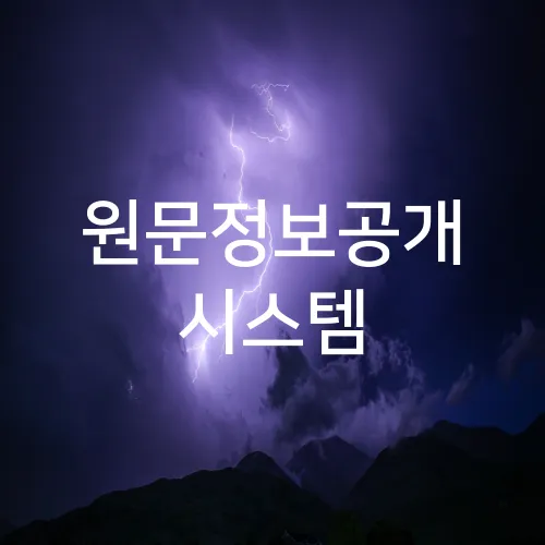 원문정보공개 시스템