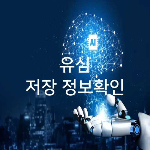 유심 저장 정보확인