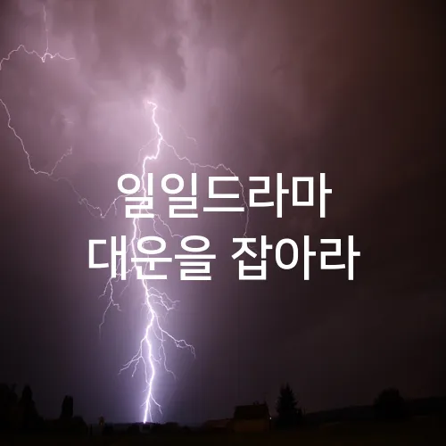 일일드라마 대운을 잡아라