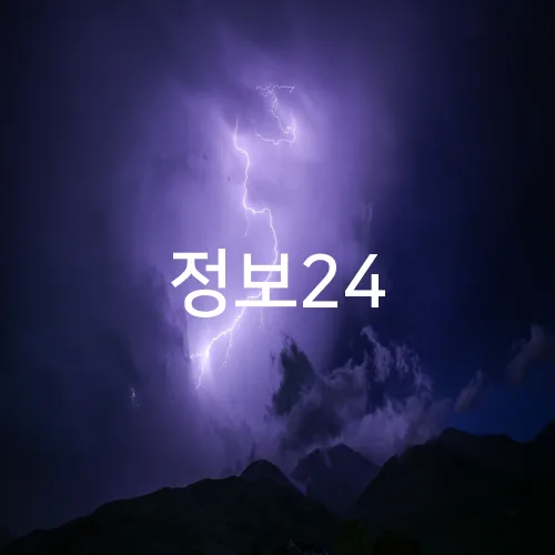 정보24