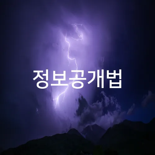 정보공개법